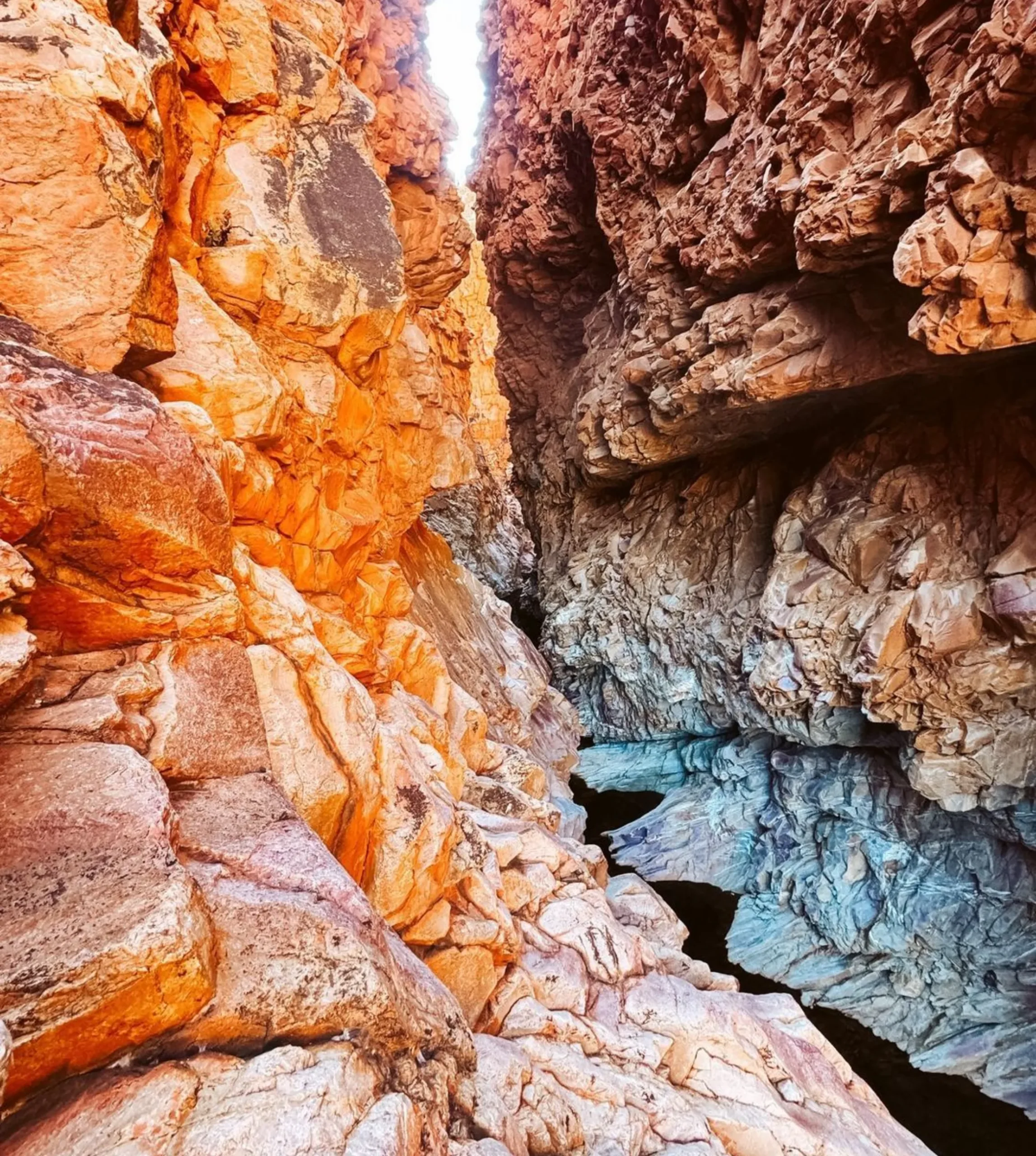 cultural heritage, Larapinta