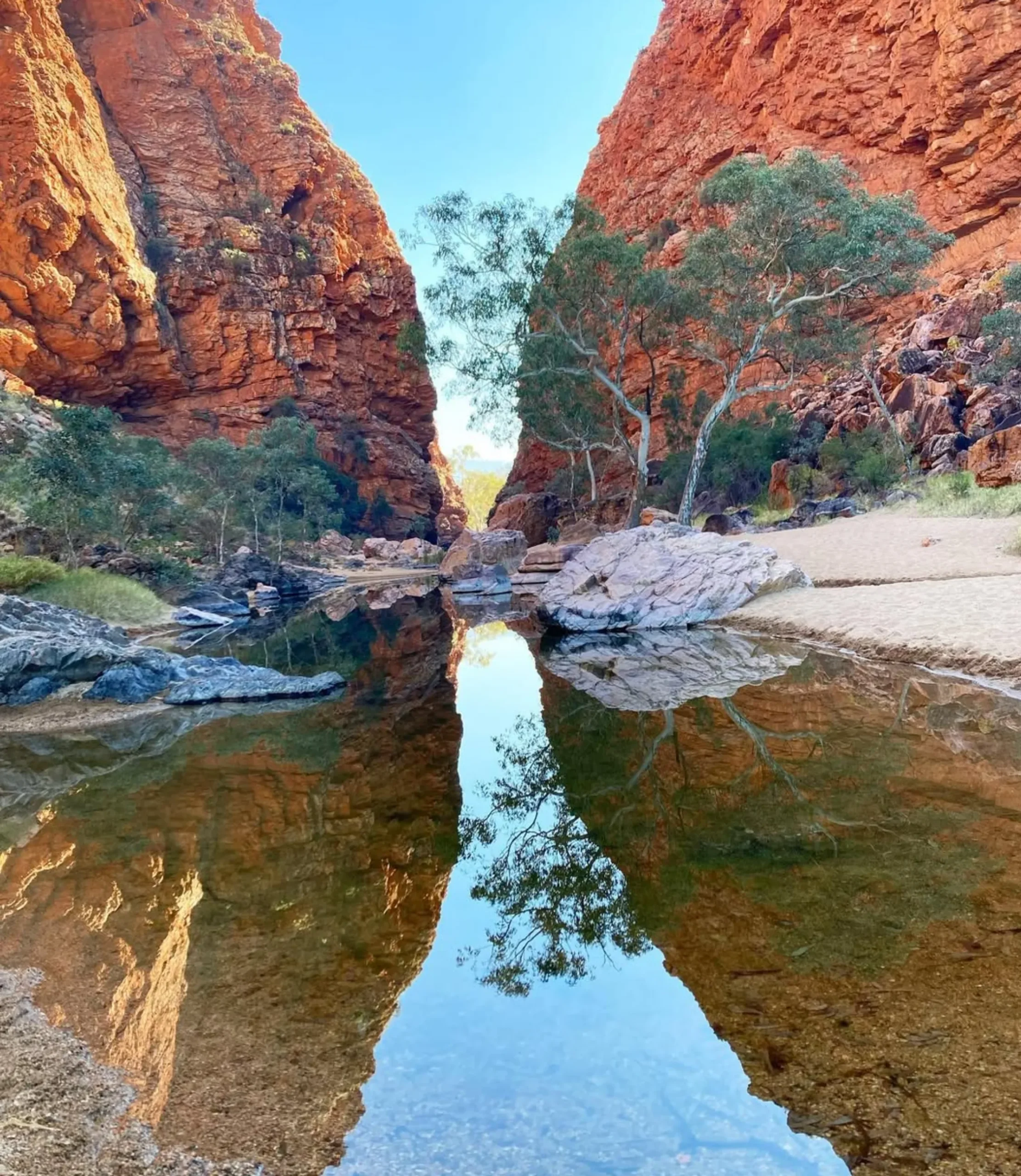 Larapinta walking tours