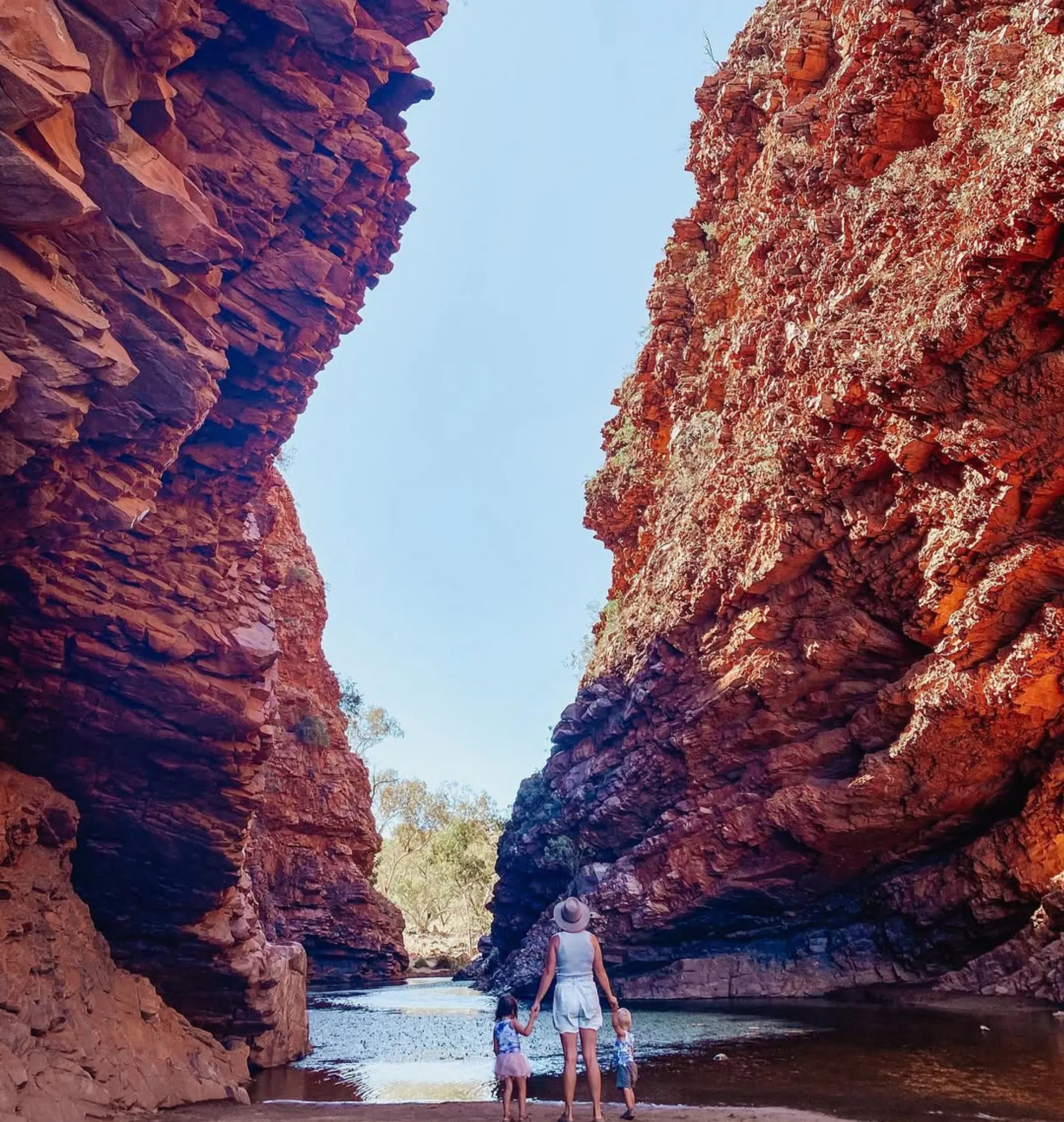 rocky hills, Larapinta