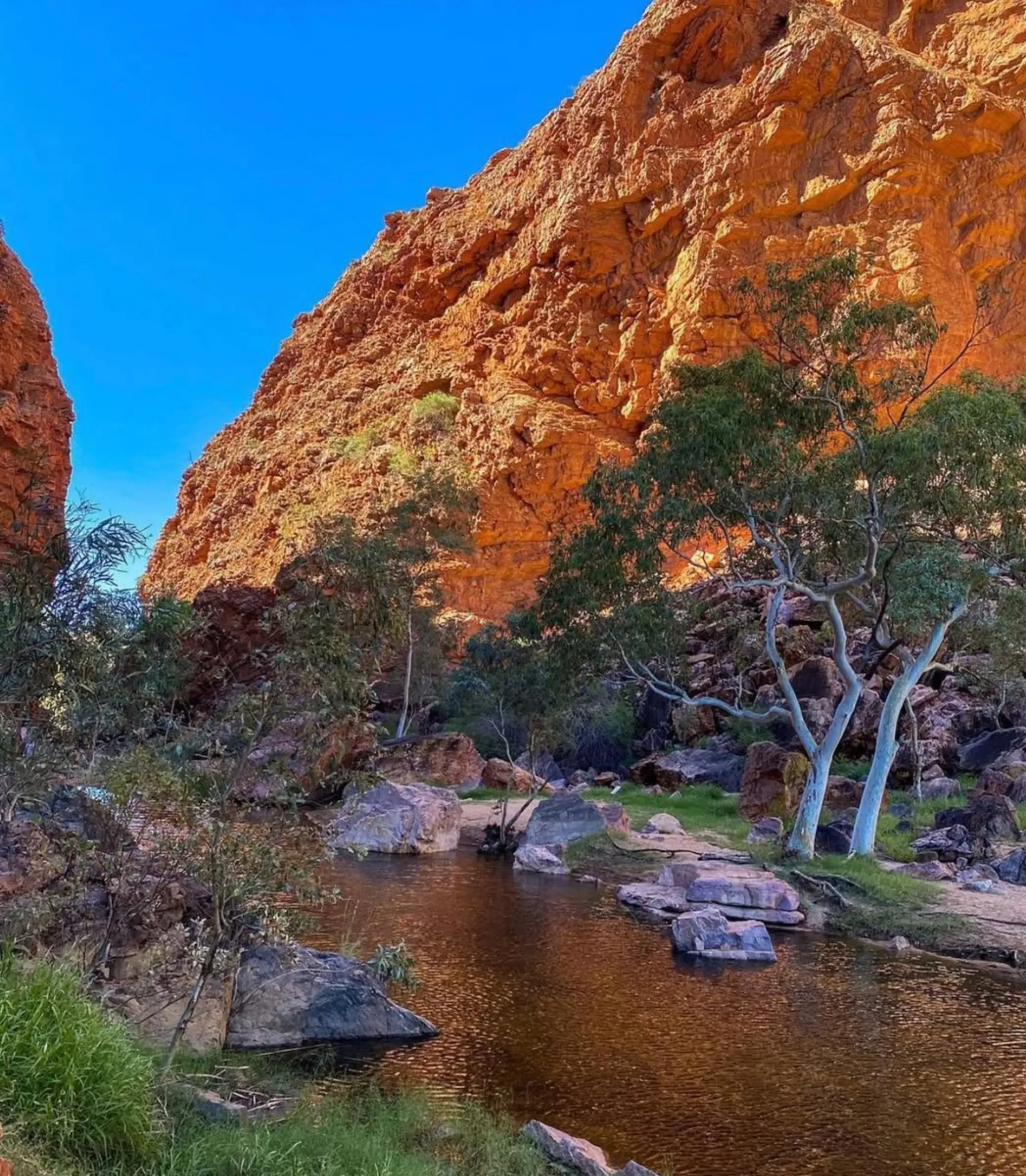stunning views, Larapinta