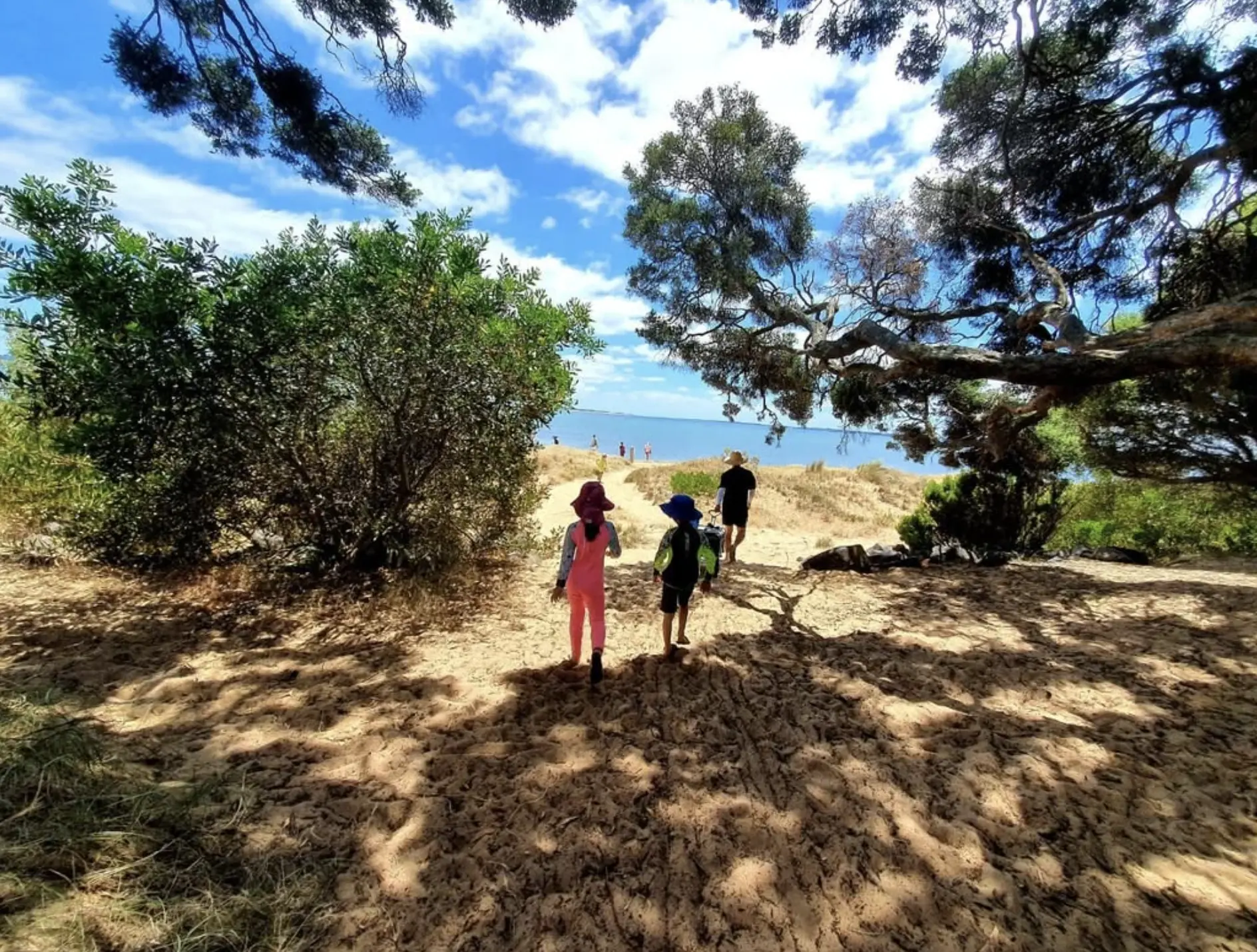 Wilson’s Promontory